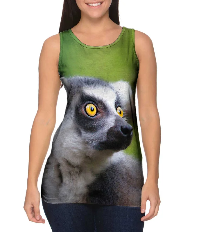 Full Attentention Grey Lemur